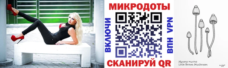 Купить  Корсаков  Псилоцибиновые грибы мицелий 